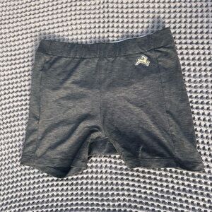 Tracksmith Shorts